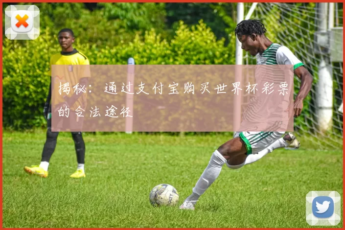 揭秘：通过支付宝购买世界杯彩票的合法途径