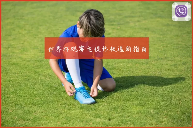 世界杯观赛电视终极选购指南