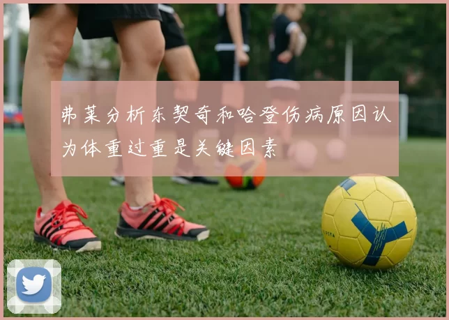 弗莱分析东契奇和哈登伤病原因认为体重过重是关键因素