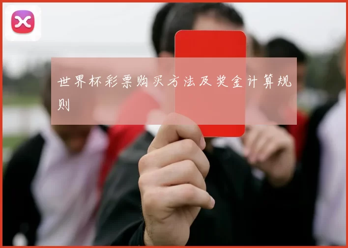 世界杯彩票购买方法及奖金计算规则