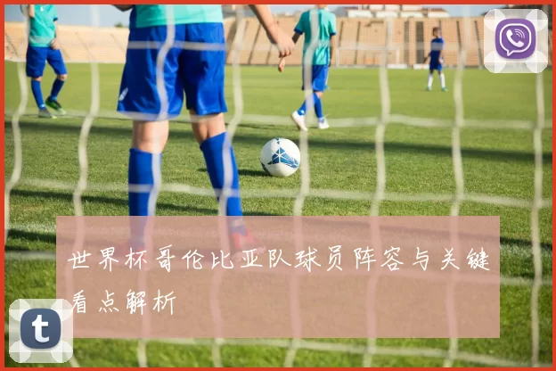 世界杯哥伦比亚队球员阵容与关键看点解析