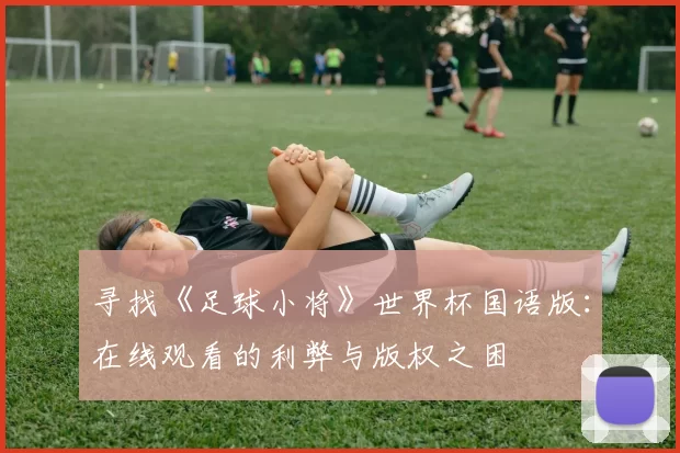 寻找《足球小将》世界杯国语版:在线观看的利弊与版权之困