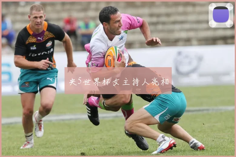 央5世界杯女主持人亮相