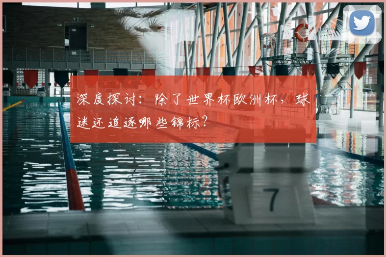深度探讨:除了世界杯欧洲杯,球迷还追逐哪些锦标?