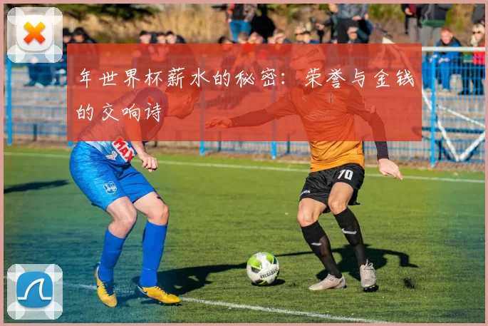 年世界杯薪水的秘密：荣誉与金钱的交响诗