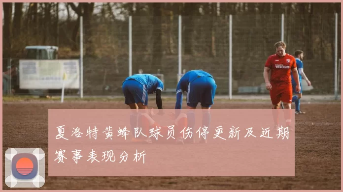 夏洛特黄蜂队球员伤停更新及近期赛事表现分析