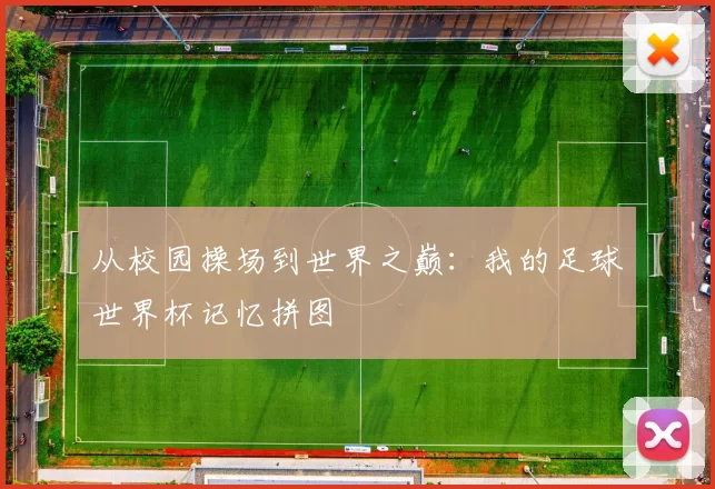 从校园操场到世界之巅：我的足球世界杯记忆拼图